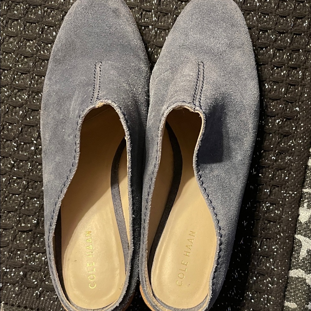 Cole Haan Women's Blue Suede Mules